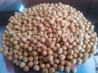 chickpeas