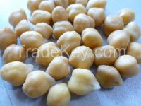 desi chickpea