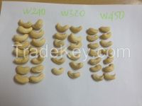 Cashew Nut Kernels