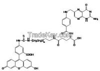 FITC-PEG-FA poly ethylene glycol