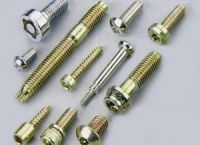 security screws/bolt/anti-theft screws safty screws