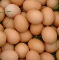 Fresh Chicken Brown & White Table Eggs