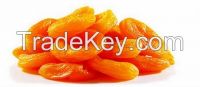 dried apricot