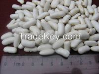 White Kidney Beans