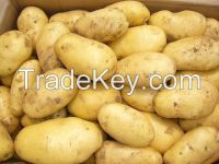 FRESH POTATOES from South Africa