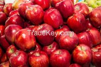 FRESH RED DELICIOUS APPLES