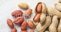 Raw Peanuts in Shell/Groundnuts in Shell for Sale