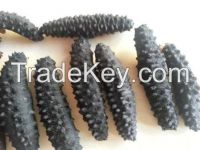 High Quality Dry Sea Cucumber