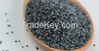 Best Quality Poppy seeds for Sale
