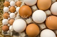 Fresh table eggs white and brown