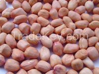 Peanut kernels for sale