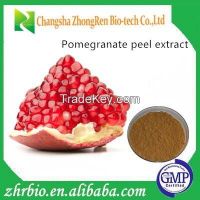 GMP Manufacturer supply Pomegranate peel extract Ellagic acid 80%