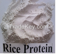 Food grade rice protein for nutrition supplement and bodybuilding