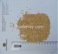 Yellow millet