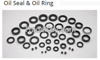 Oil Seals &amp; Rings