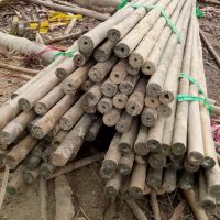Raw bamboo poles, bamboo canes