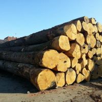 Kwila wood round logs
