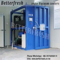 Dongguan Betterfresh high temperature Rapid cooling increase shelf life Pre coolers Vacuum cooling machine for food vegetables fruits