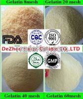 Technical Gelatin/jelly Glue For Printing And Packing