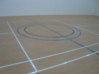 multi sport PVC floor vinyl sheet floor for indoor sports