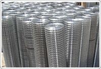 Welded Wire Mesh