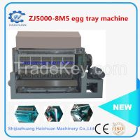 automatic egg tray making machine in Africa