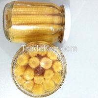 Canned Baby Corn