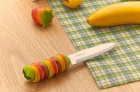 Resin Handle Stainless Steel Cutlery