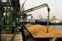 Wheat 2 grade 