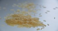 APURVA golden sella basmati rice