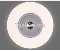 traditional led flush mount ceiling lights Aluminum ceiling lamps  BZN-CL0041