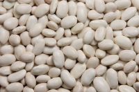  White Kidney Beans