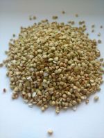 Offer Hulled Buckwheat, Roasted Buckwheat, Buckwheat husk