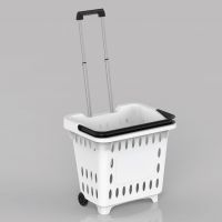 https://www.tradekey.com/product_view/2016-Hot-Sale-Wholesale-Good-Quality-Plastic-Shopping-Basket-For-Supermarket-store-Any-Color-Customized-8659073.html