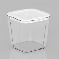 HOT OEM Food container plastic Sina Crystal L1093 White