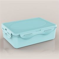 Multiform plastic food container, modern designs, hygienic without BPA safe for your health, safe in microwave L603