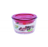 Square Sina Crystal Plastic Food Storage Container L1177