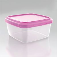 BEST USEFUL plastic food storage container L021-2