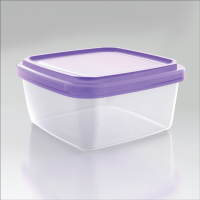 Eco- friendly Customized Size Food storage container L021-4