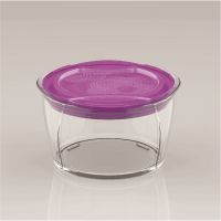 Eco- friendly Customized Size Food storage container L1177-Purple