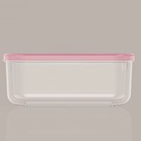 Eco- friendly Customized Size Food storage container L20403-1