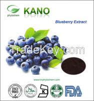 100% Natural Blueberry Extract 25% Anthocyanidin EP Standard Super Anti-oxidant