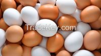 FRESH WHITE/ BROWN SHELL POULTRY EGGS 