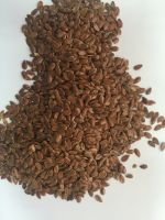 linen oilseed