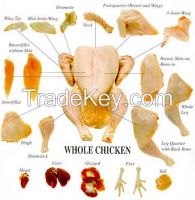 BRAZIL HALAL FROZEN WHOLE CHICKEN, FROZEN CHICKEN PAWS FROZEN PROCESSED CHICKEN FEET