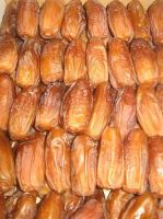 ORGANICS Deglet Nour DATES without Branch From ALGERIA. Cat: II