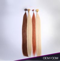 Most Popular U-Tip Clean And Soft 100% Natural Human Hair Human Hair Extension Keratin