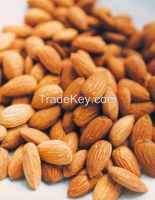 QUALITY RAW NATURAL ALMOND NUTS, BEST SUPPLY