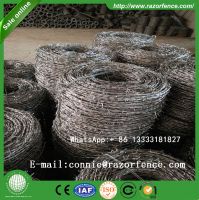 https://www.tradekey.com/product_view/Big-Discount-Barbed-Wire-Manufacturer-8592638.html