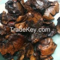 CASHEW NUT SHELL EXTRACTED